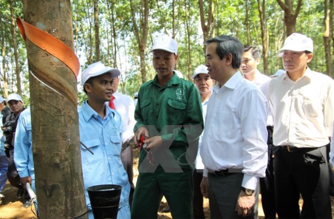 Ông Nguyễn Văn Bình, Ủy viên Bộ chính trị, Bí thư trung ương Đảng, Trưởng ban Kinh tế Trung ương, Trưởng ban chỉ đạo Tây Bắc, nói chuyện với công nhân Công ty cổ phần cao su Lai Châu. (Ảnh: Quang Duy/TTXVN)